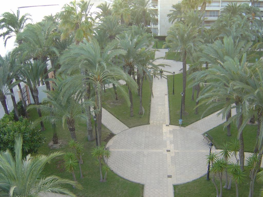 Palmeral De Торевьиа Экстерьер фото
