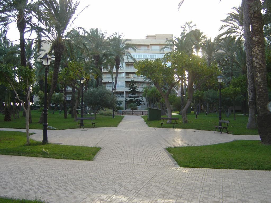 Palmeral De Торевьиа Экстерьер фото