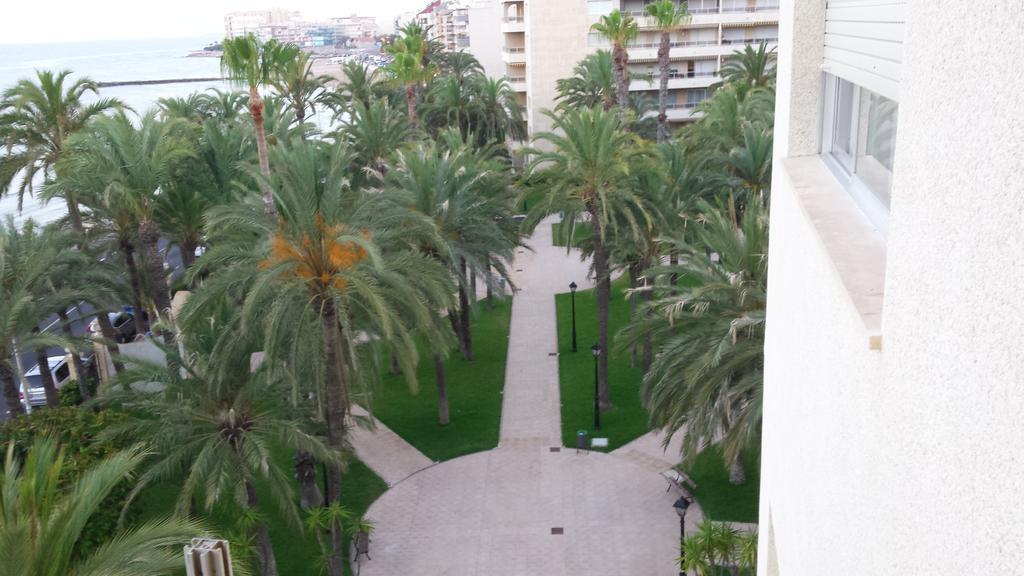Palmeral De Торевьиа Экстерьер фото