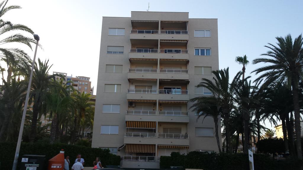 Palmeral De Торевьиа Экстерьер фото
